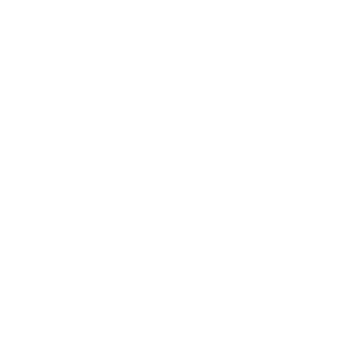 Metz