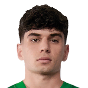 Rodrigo Ribeiro