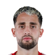 Adnan Januzaj