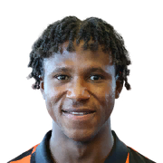 Dermane Karim